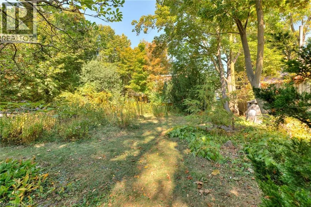 44 ELLEN Street E