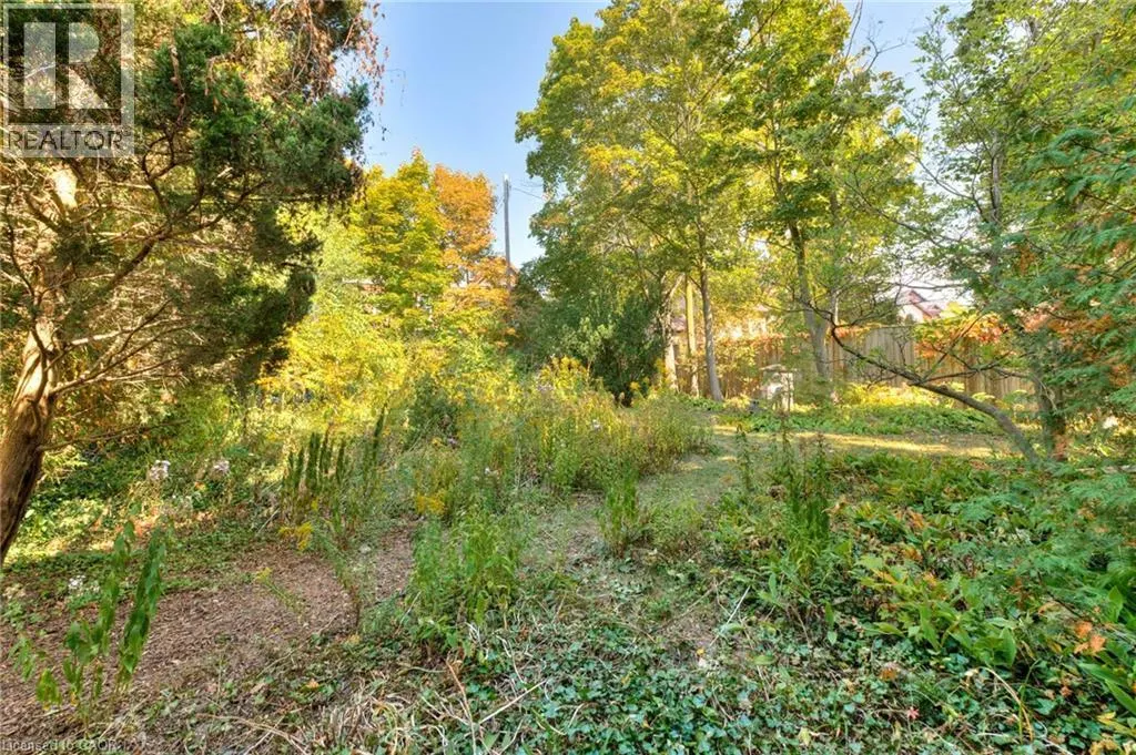 44 ELLEN Street E