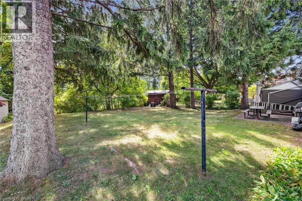 41 BONIFACE Avenue