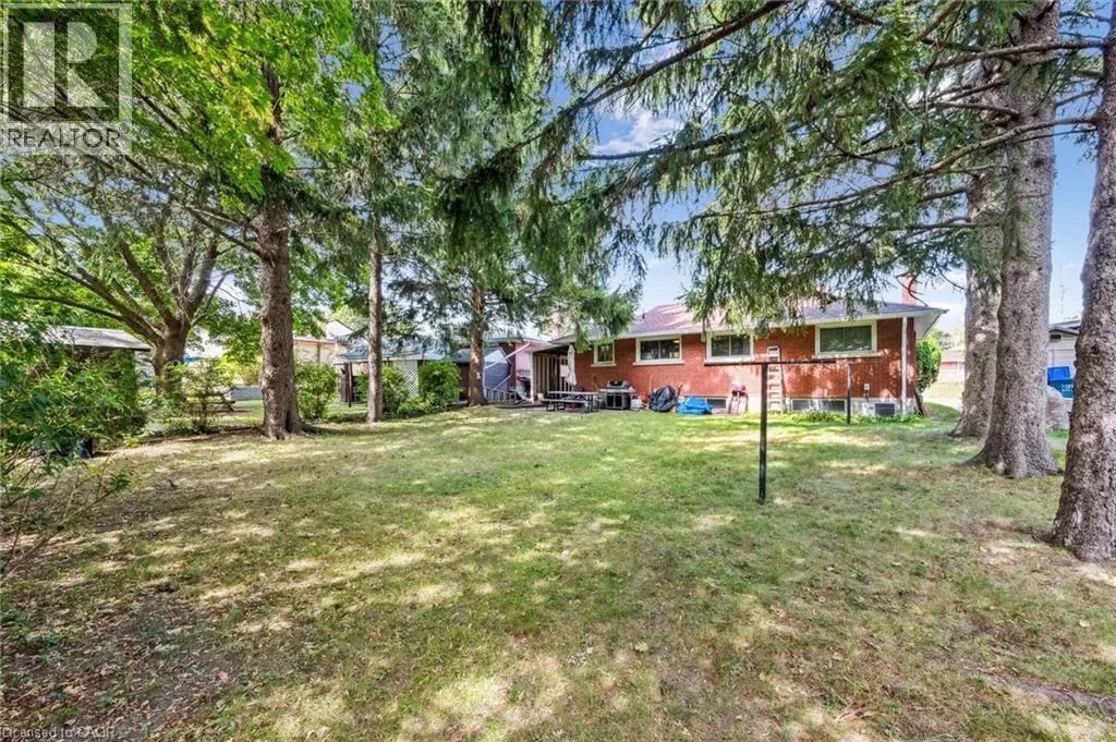 41 BONIFACE Avenue