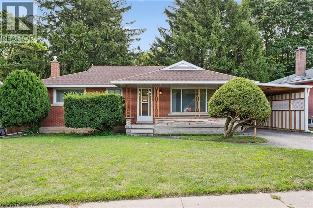 41 BONIFACE Avenue