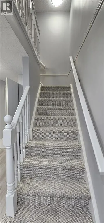 38 POPLAR Drive