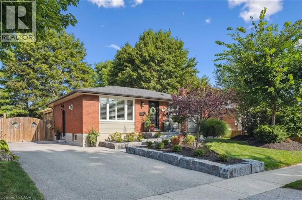 12 CARTER Drive