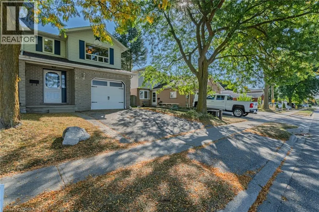19 OAK Avenue