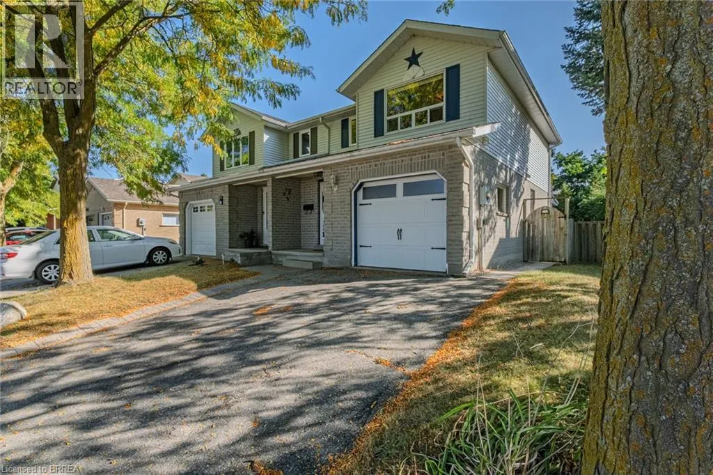 19 OAK Avenue