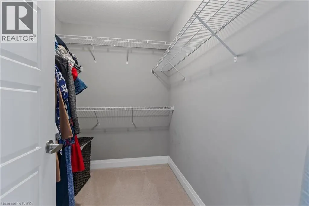 504 EQUESTRIAN Way
