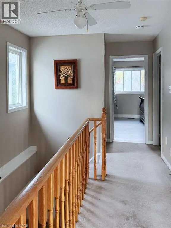 35 RIDWELL Street