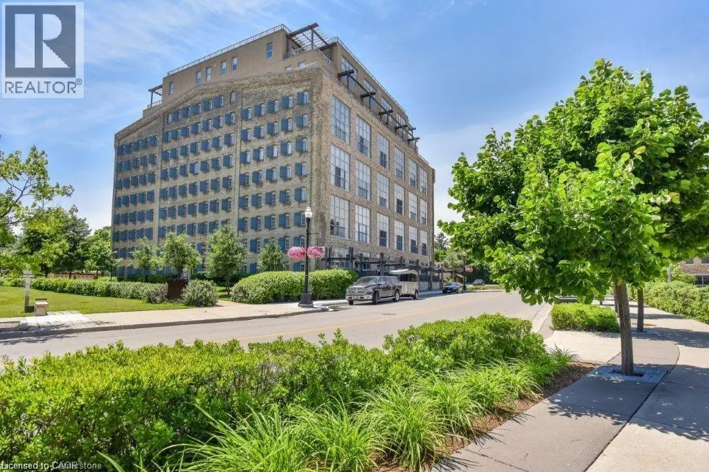 5 FATHER DAVID BAUER Drive Unit# 203, #203