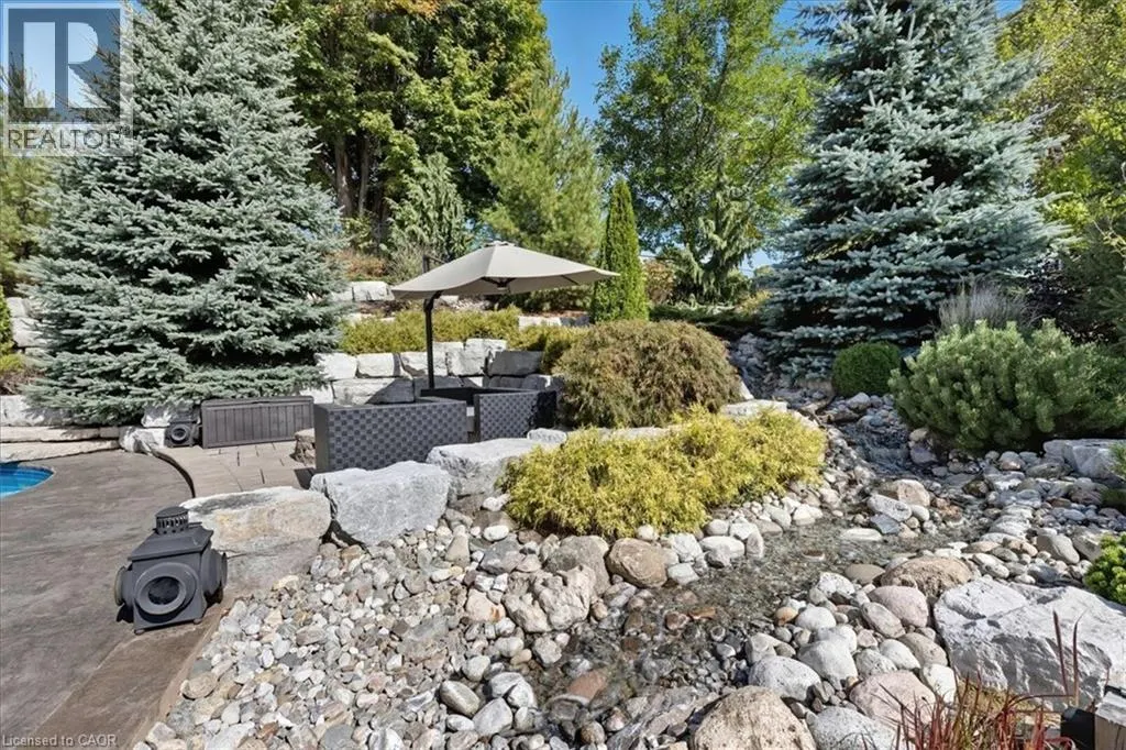 237 RIVER BIRCH Street