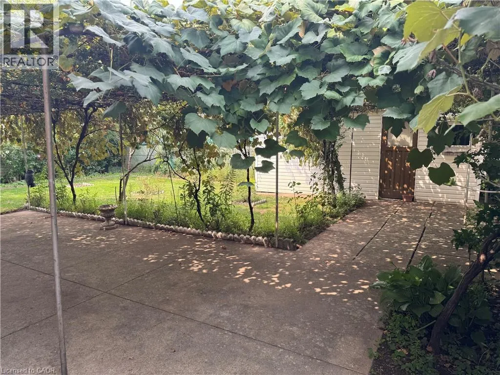 31 ADAIR Avenue