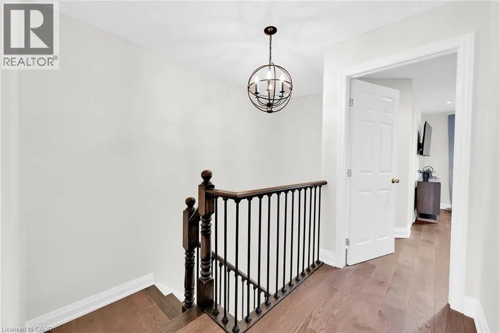 29 ELDERBERRY Avenue