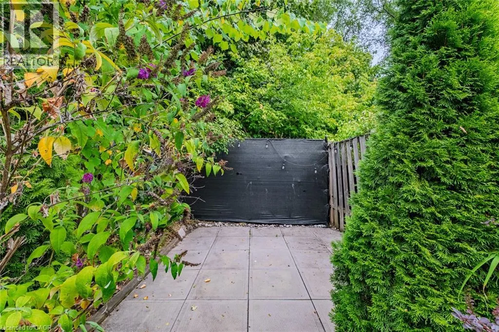 5 DALHOUSIE Avenue