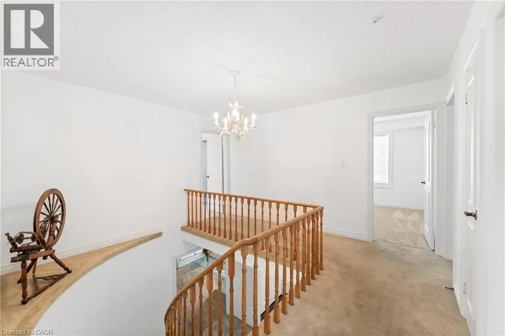 20 ARKENDO Drive