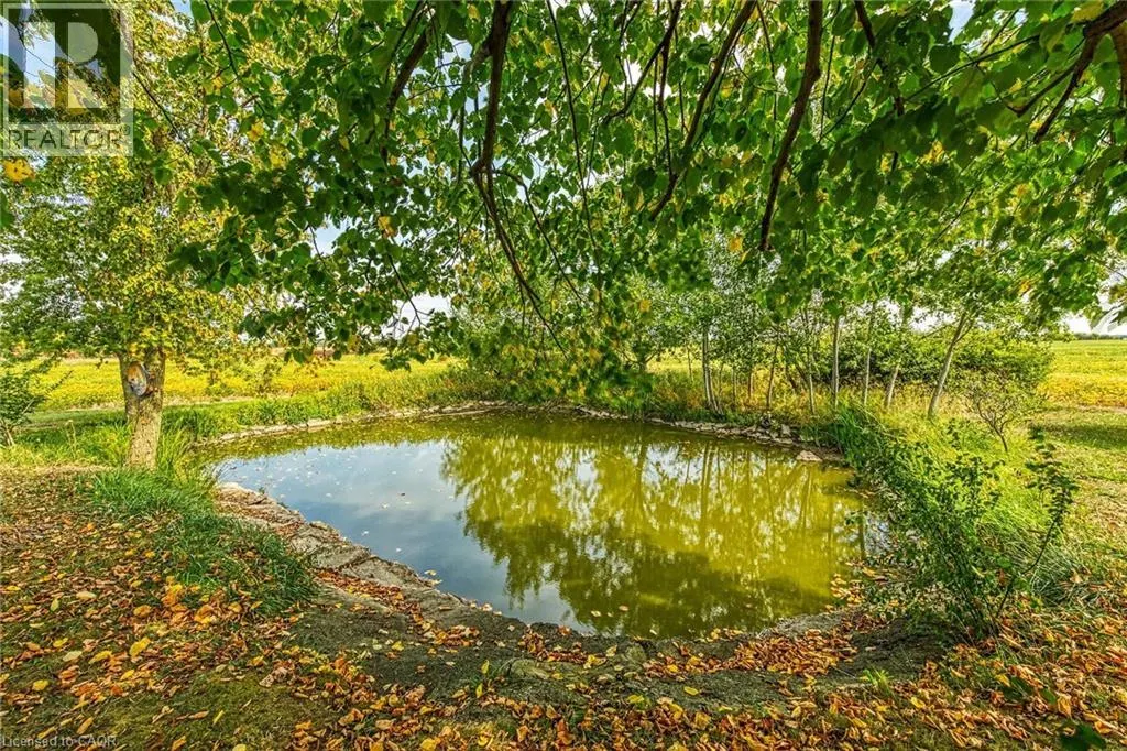 484 HALD-DUNN TOWNLINE Road