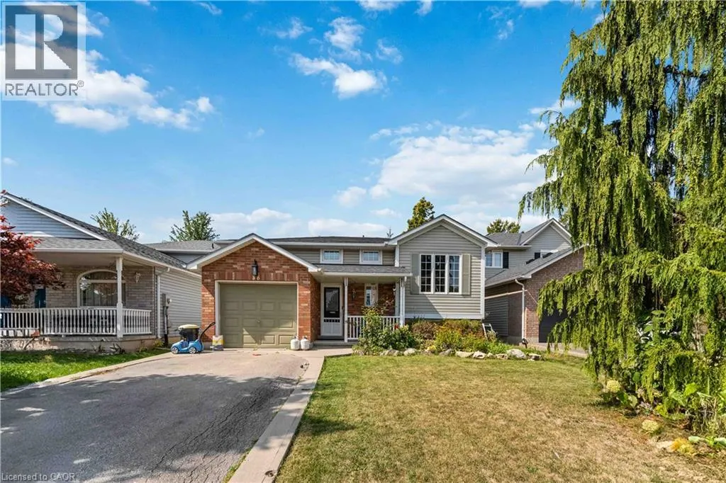 56 CELTIC Drive