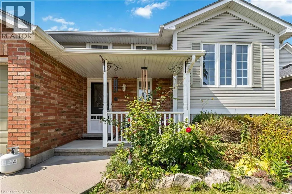 56 CELTIC Drive