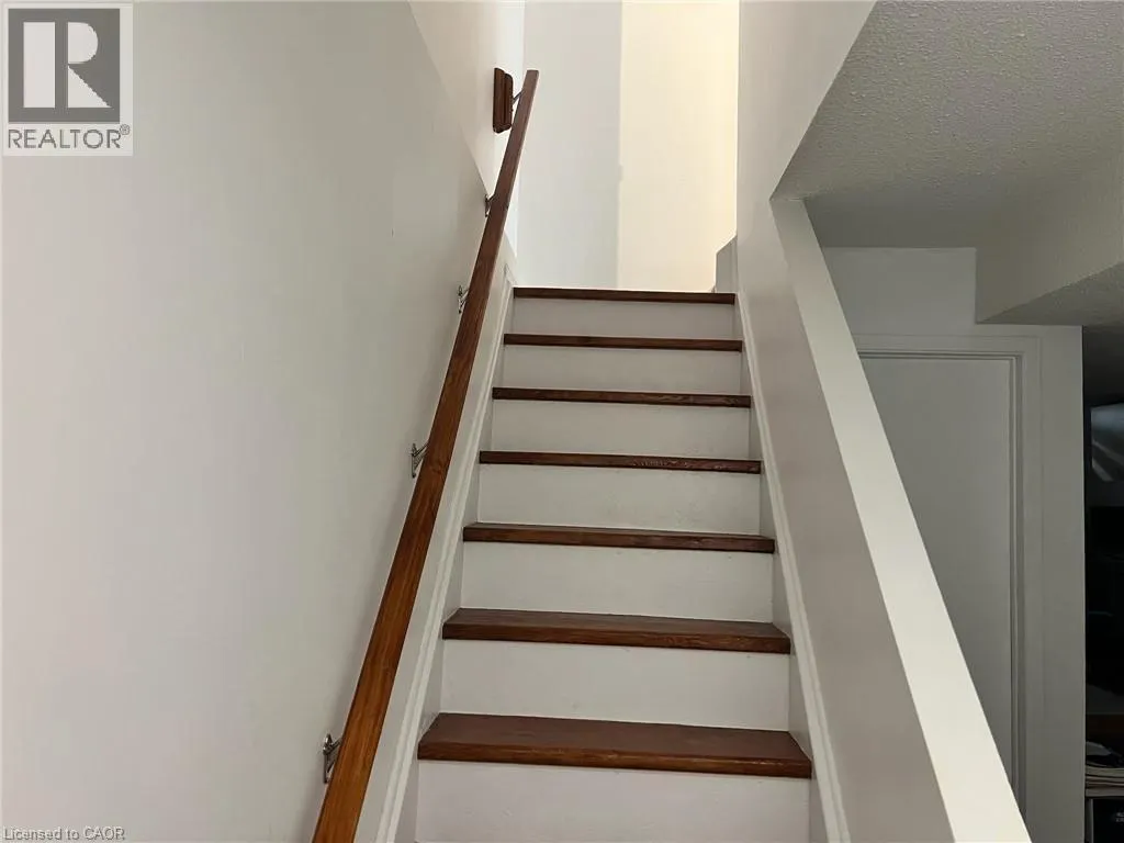 3 OLEANDER Crescent