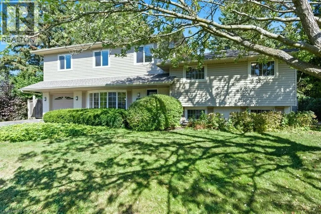 207 SPRING Trail