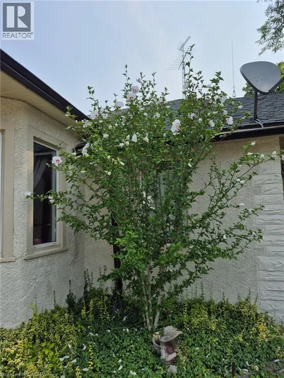 30 DUMFRIES Street