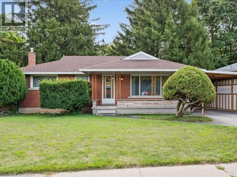 41 BONIFACE Avenue