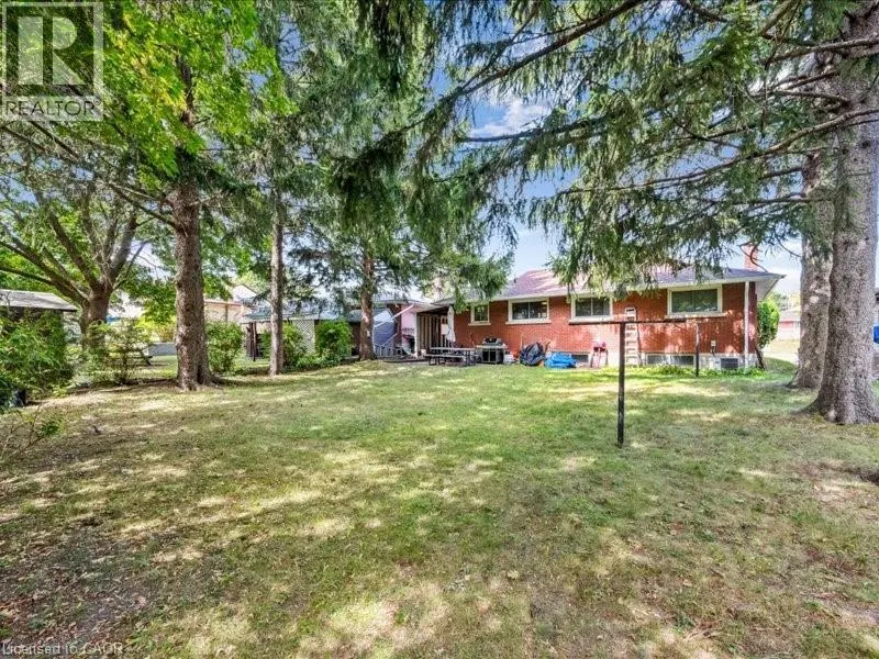 41 BONIFACE Avenue