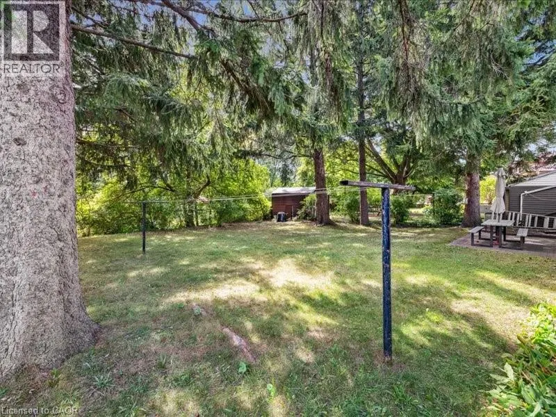 41 BONIFACE Avenue