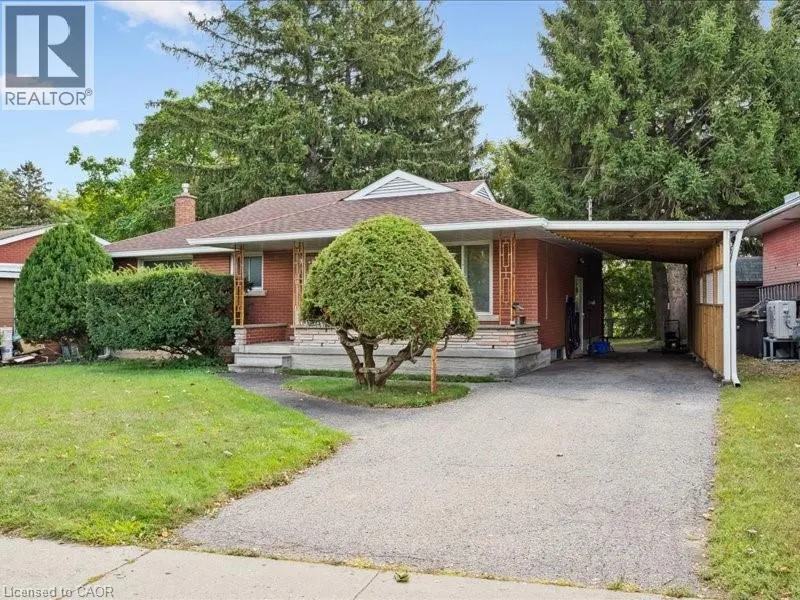41 BONIFACE Avenue