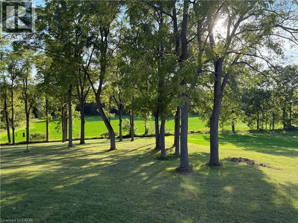 649 EAST QUARTER LINE
