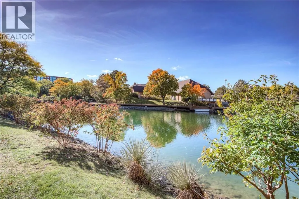 54 BLUE SPRINGS Drive Unit# 41, #41