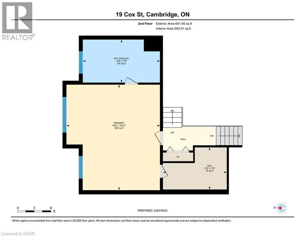 19 COX Street