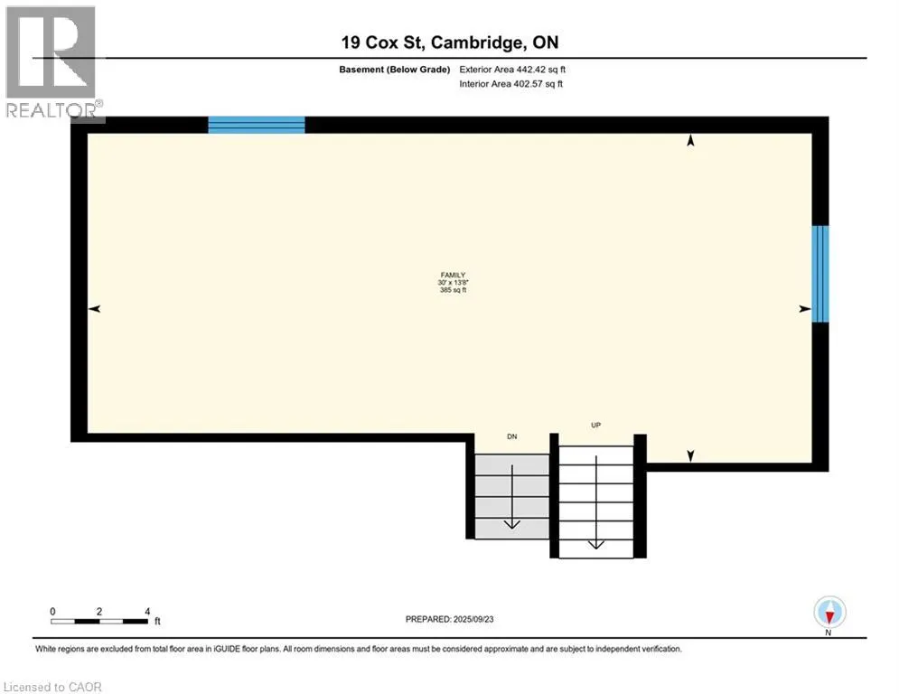 19 COX Street