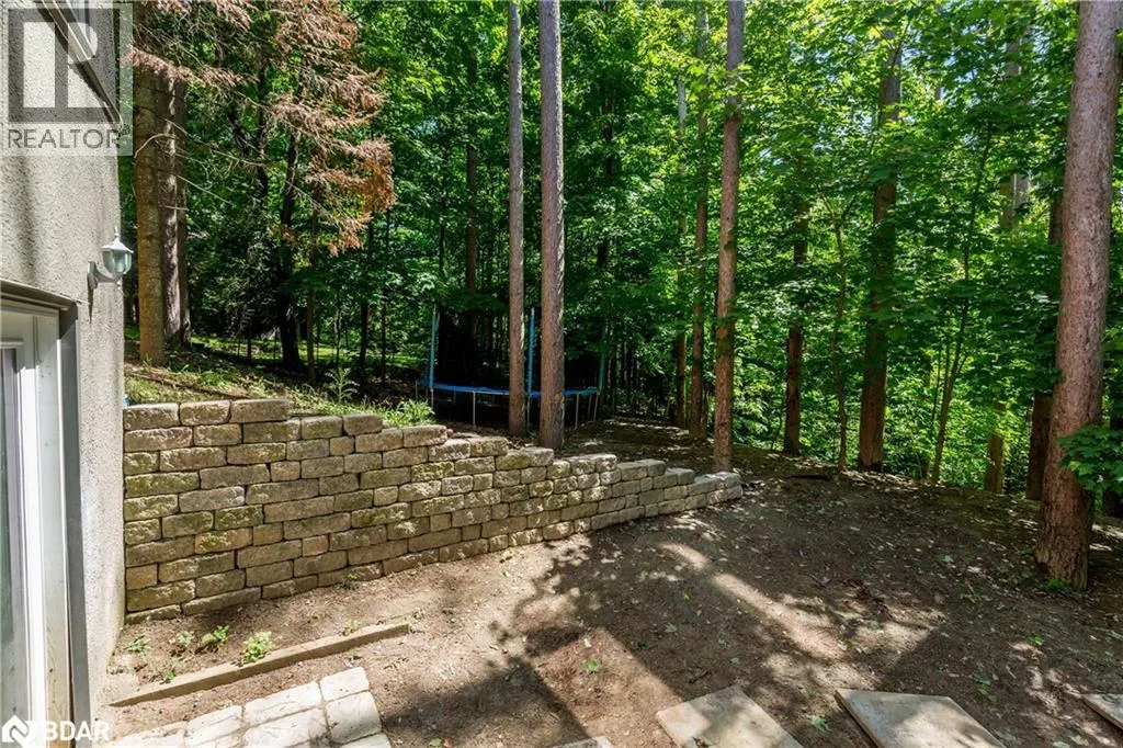 1 PINE SPRING