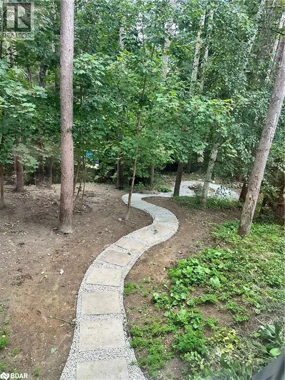 1 PINE SPRING