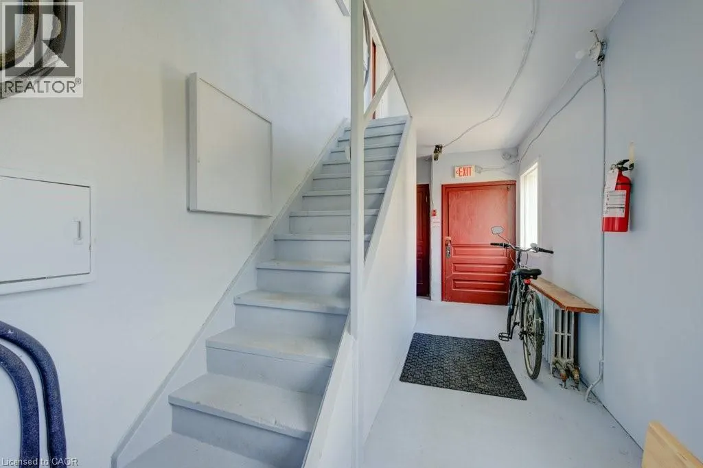 345 LOUISA Street