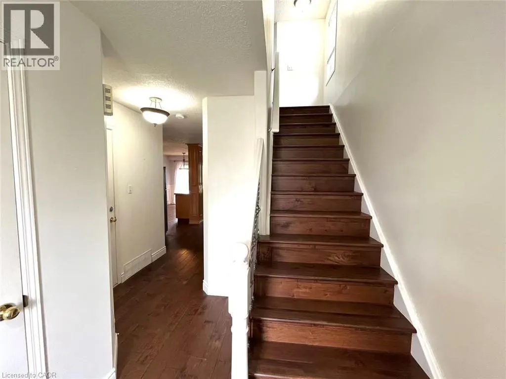 106 MOUNTAIN MINT Crescent