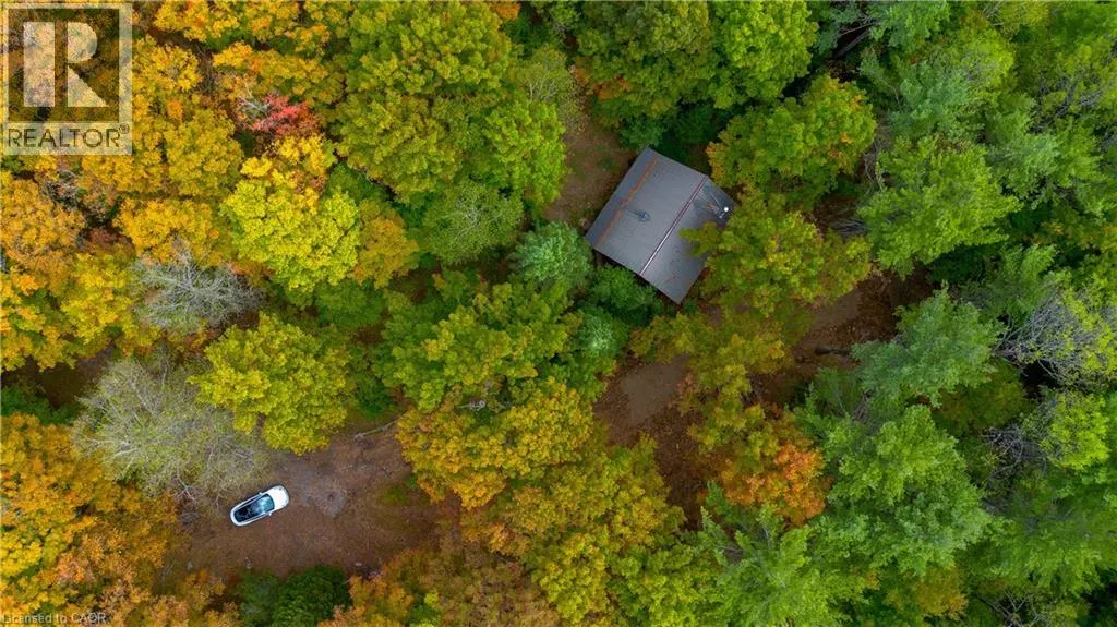 10282 COUNTY ROAD 503