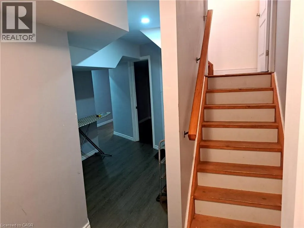 39 MATTEO Trail