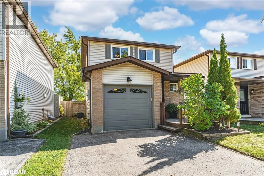 56 MAITLAND Drive