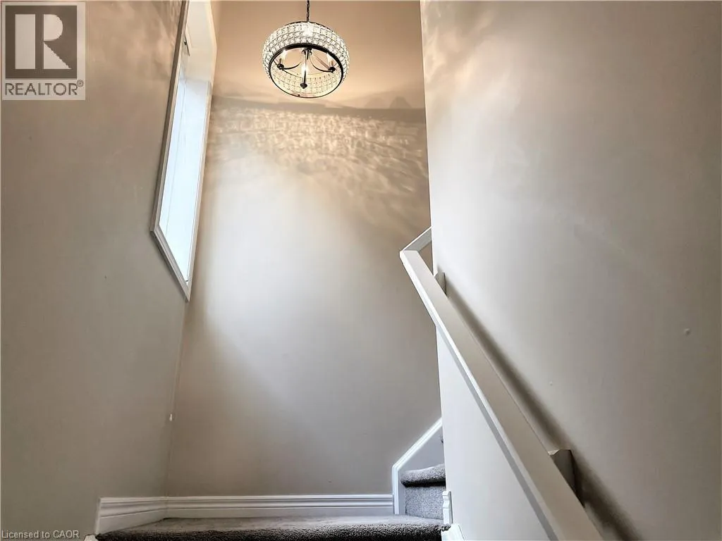 76 ELMBANK Trail