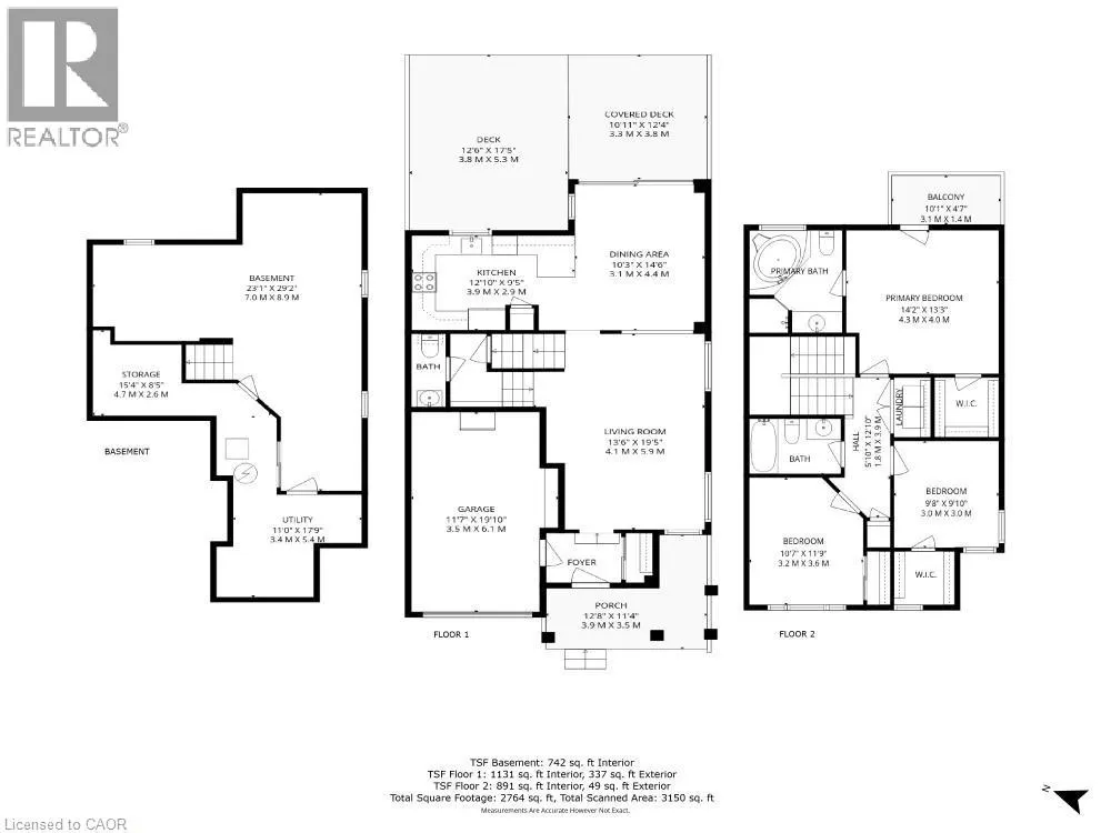 35 FIDDLEHEAD Crescent