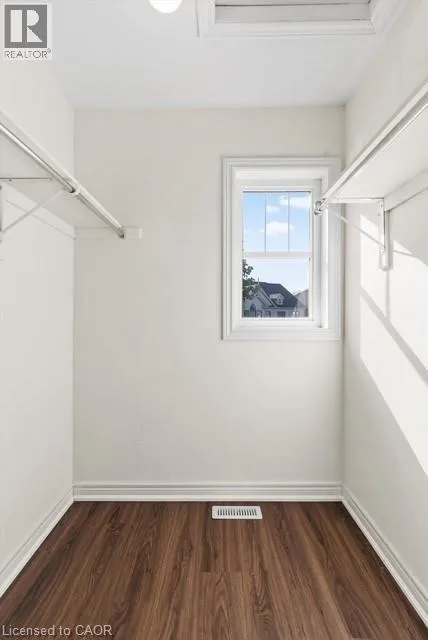 35 FIDDLEHEAD Crescent