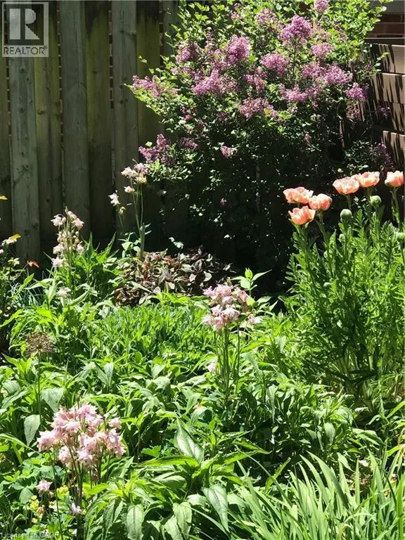 151 CONCESSION Street