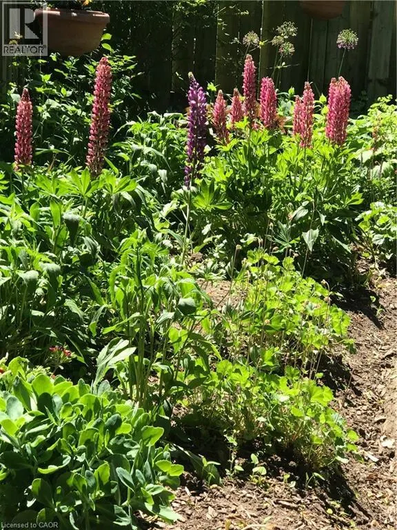 151 CONCESSION Street