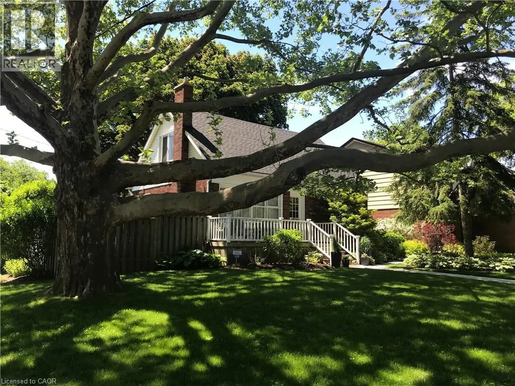 151 CONCESSION Street