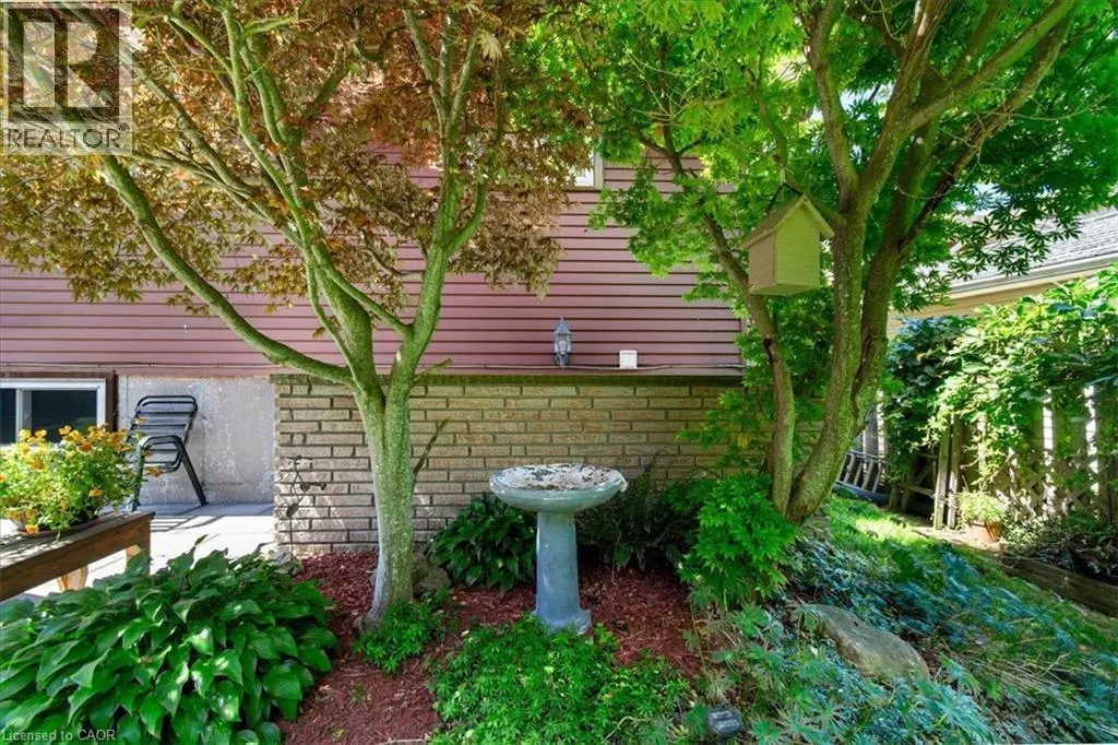18 DIXON Drive