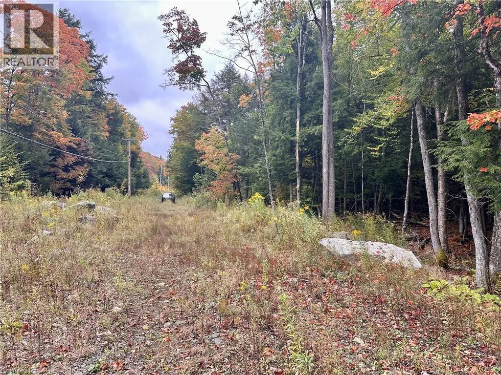 1150 LIMBERLOST Road