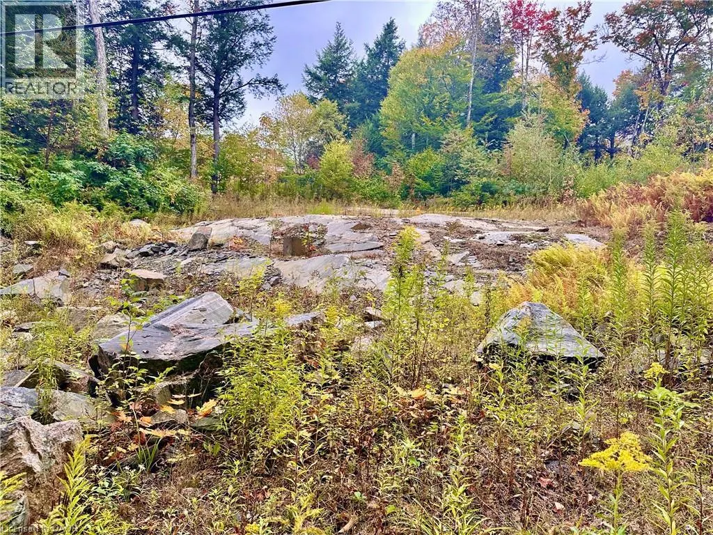 1150 LIMBERLOST Road