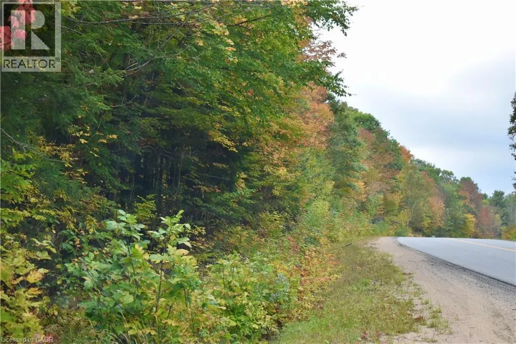 1150 LIMBERLOST Road