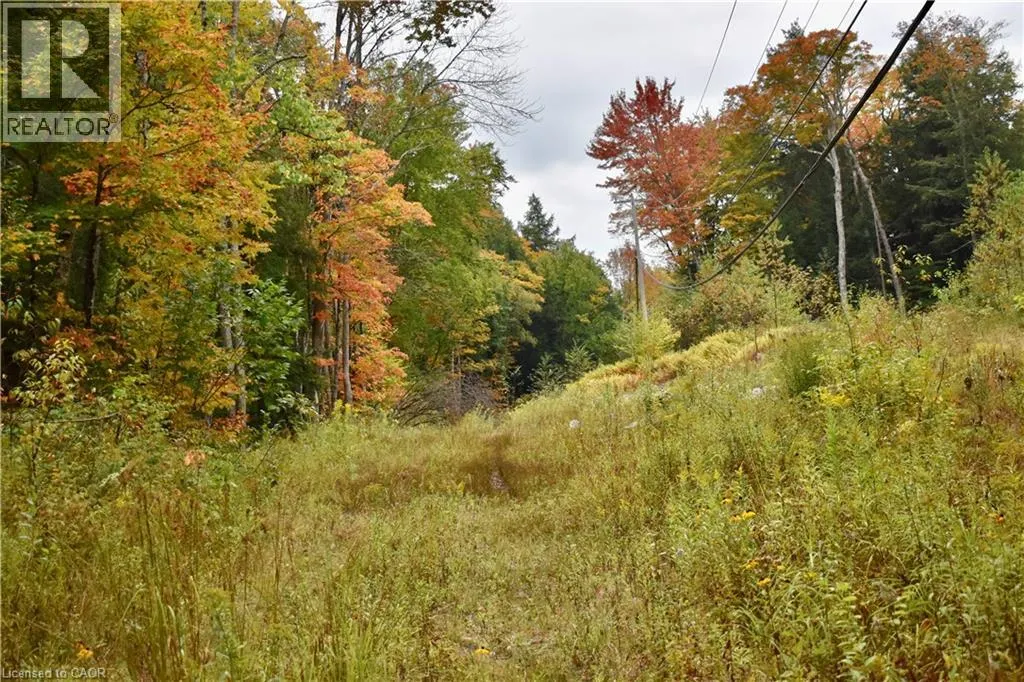 1150 LIMBERLOST Road