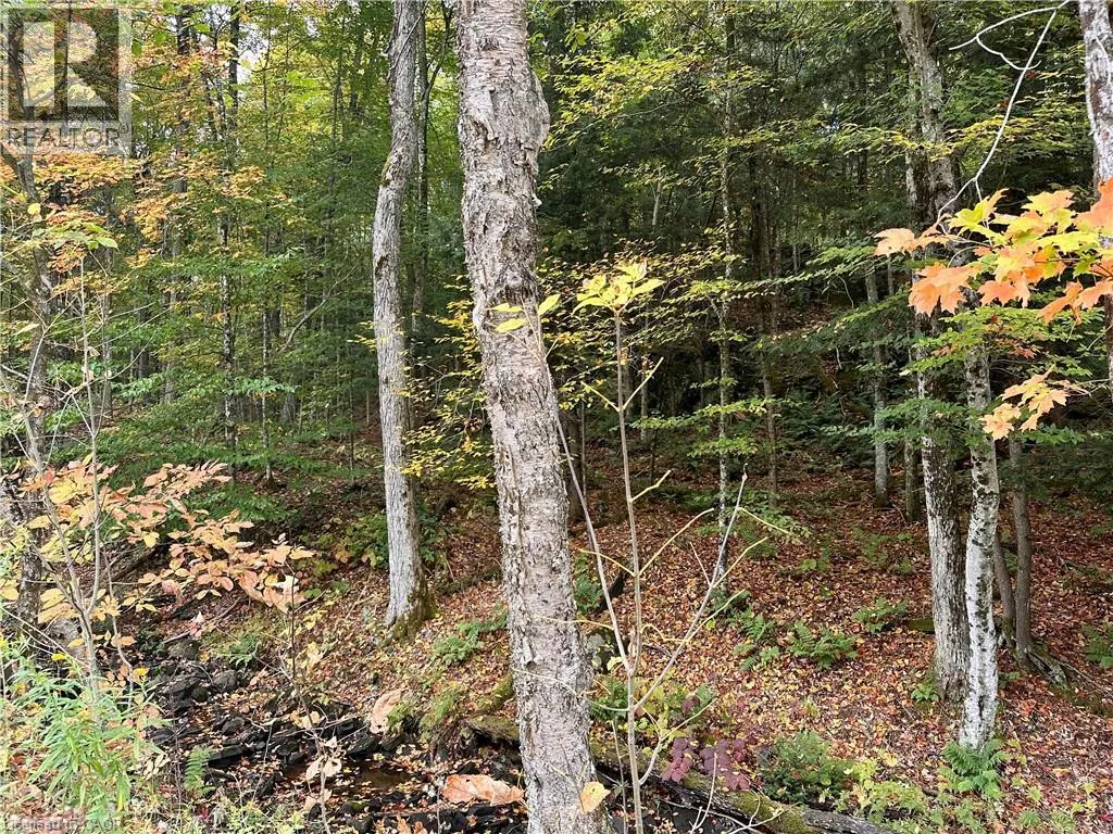 1150 LIMBERLOST Road